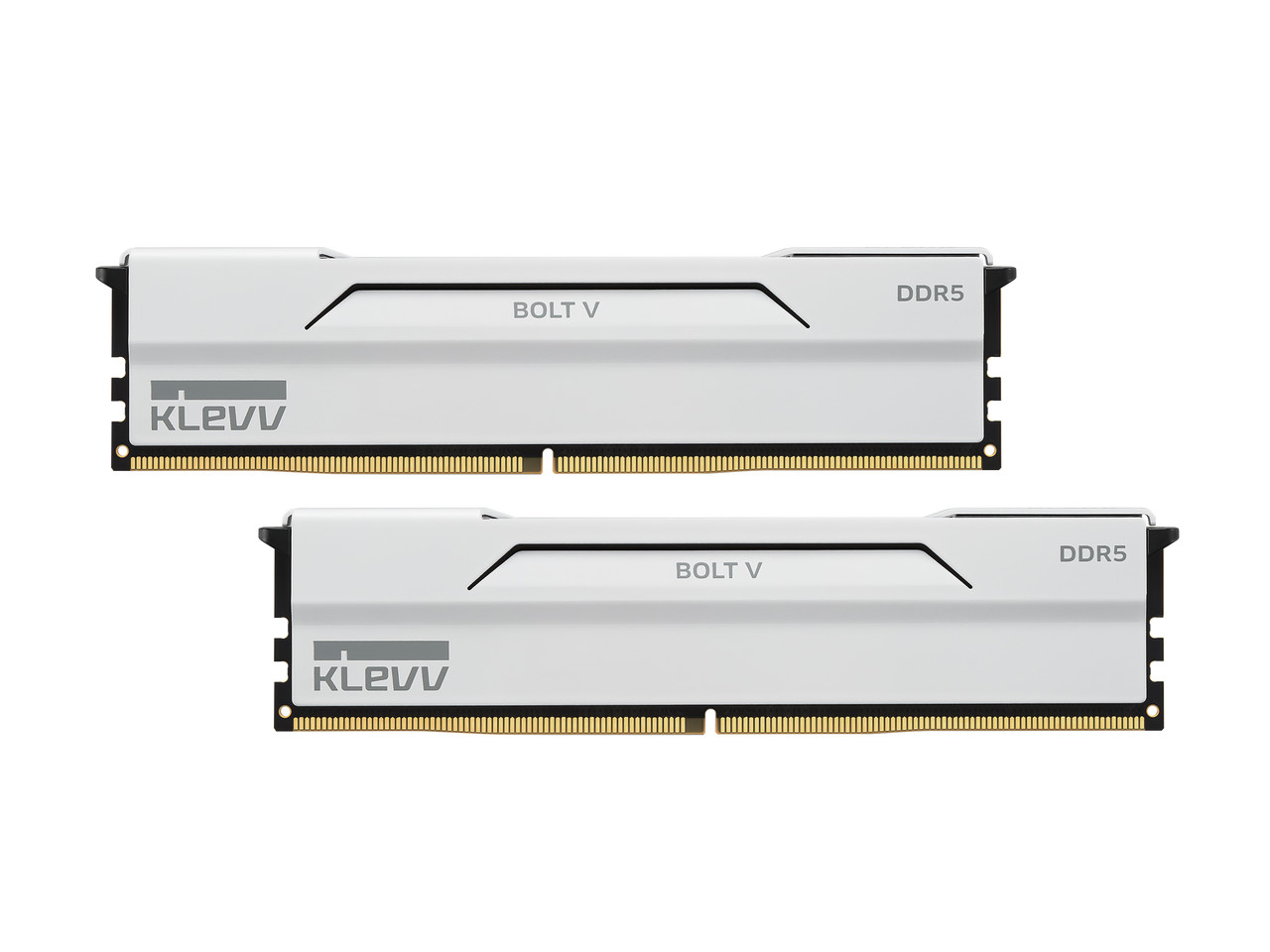 Klevv 64GB (2 x 32GB) DDR5 6000 (PC5 48000) Desktop Memory Model
