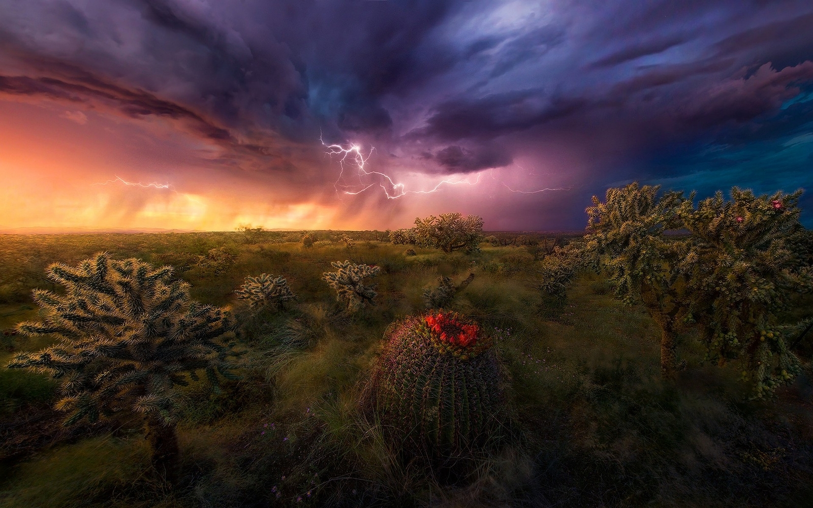 Landscape nature lightning storm shrubs grass sky clouds Custom Gaming Mat Desk