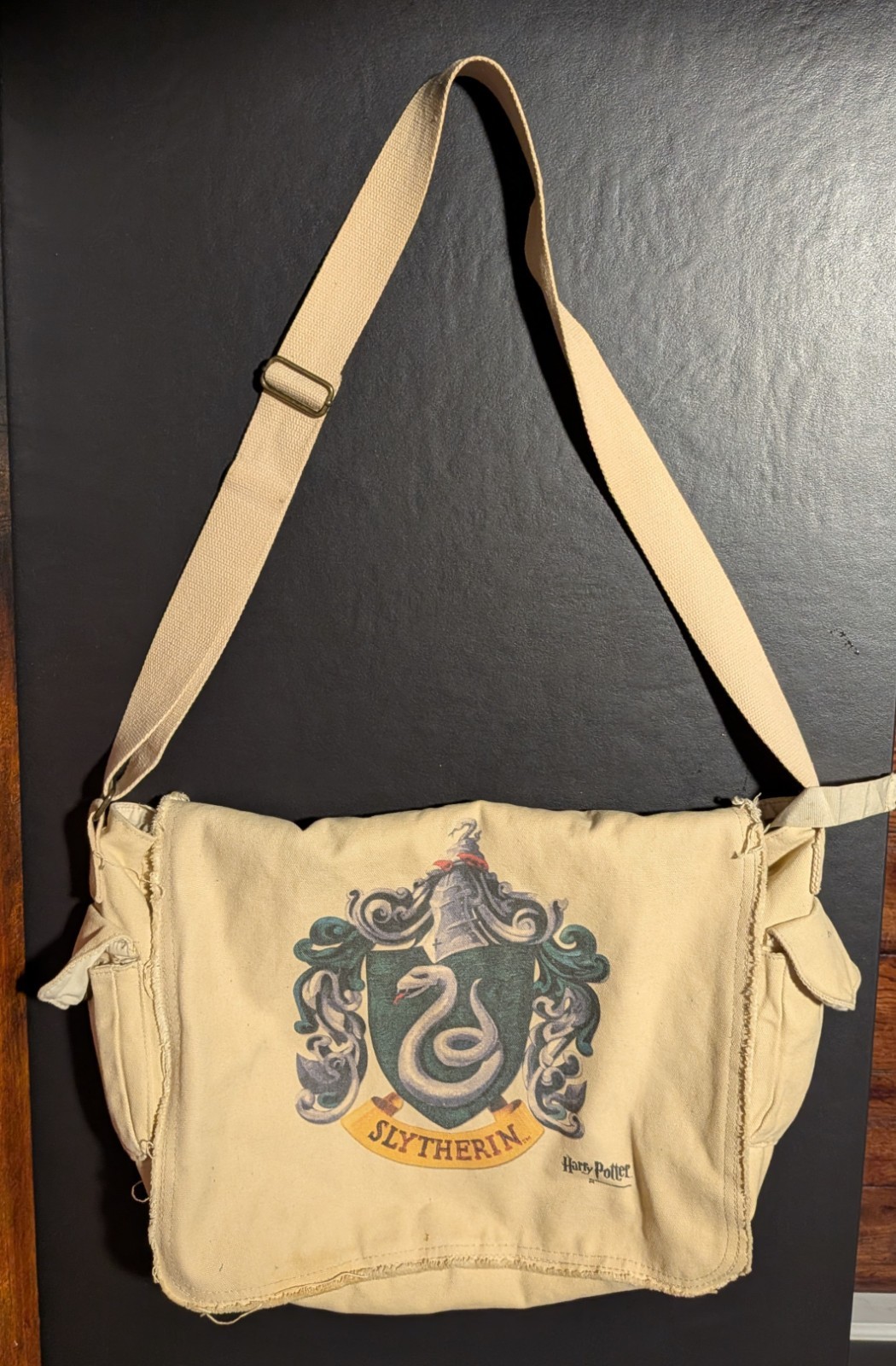 Cafe Press Harry Potter Slytherin Crest Canvas Messenger Bag Laptop Bag 13x15x4"