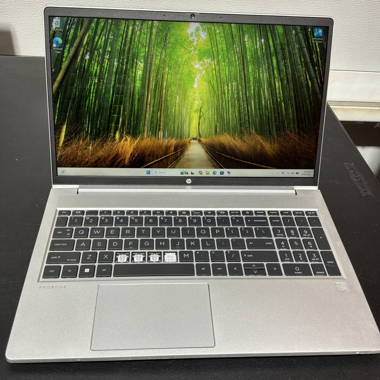 HP ProBook 450 G8 15.6" Laptop Touch i5-1135G7 2.40GHz 8GB RAM 256GB SSD N040