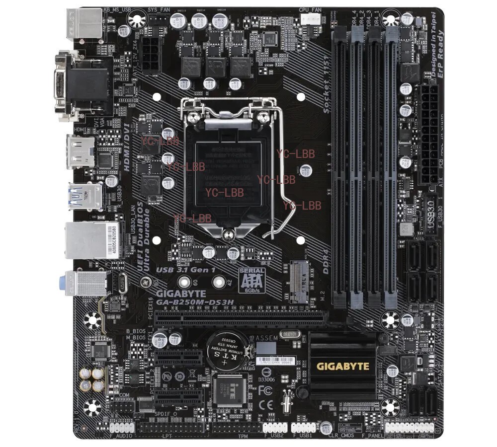 GIGABYTE GA-B250M-DS3H LGA 1151 Intel B250 HDMI Micro ATX Intel Motherboard