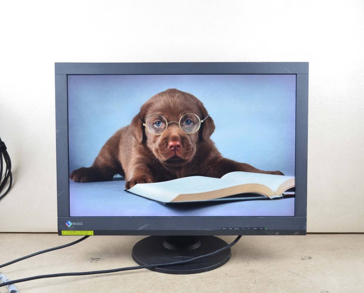 EIZO RadiForce MX242W 24.1-Inch WUXGA IPS LED Monitor Used Tested