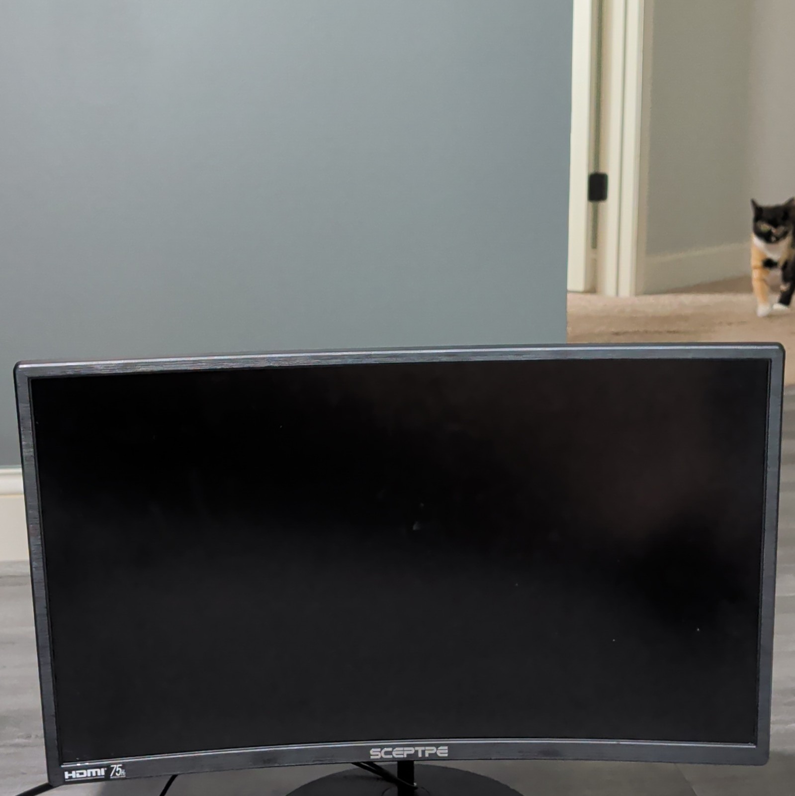 Sceptre Sceptre 23-24.9in Monitor 75Hz 16:9 HDMI Video Input, Black