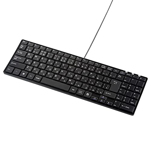 Sanwa Supply USB Slim Keyboard with Pantograph and Numeric Keypad Black