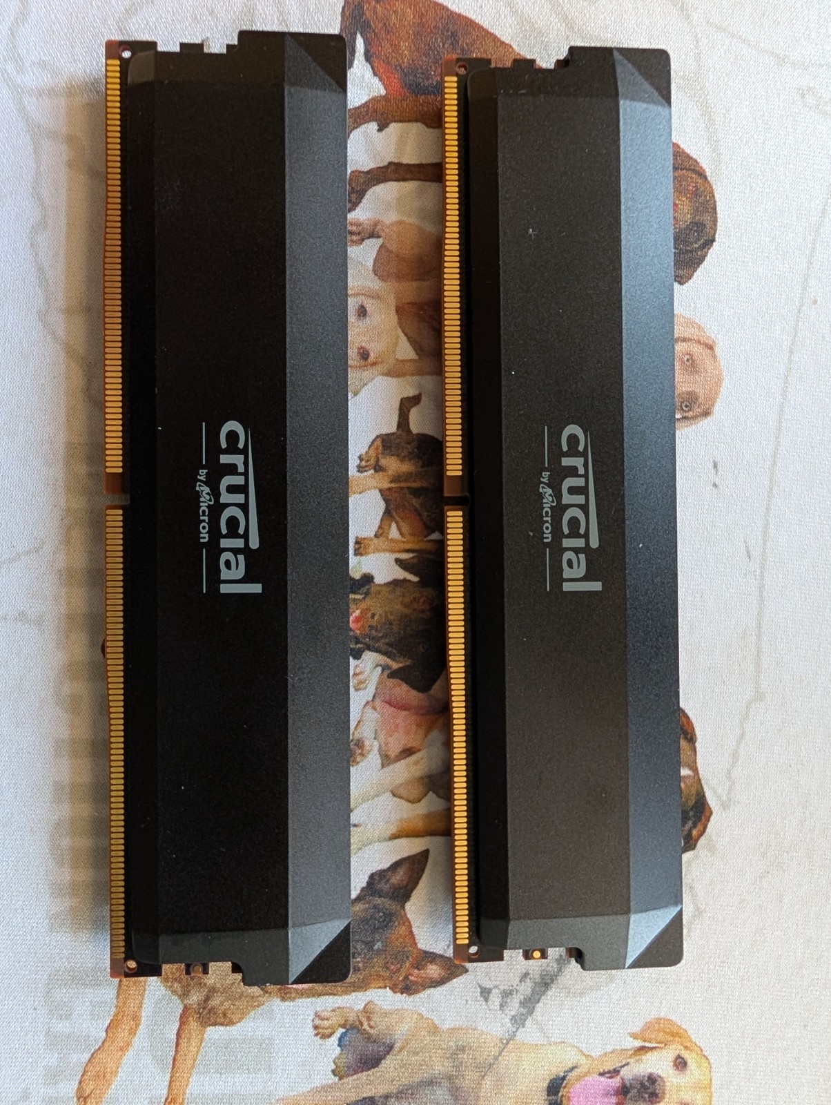 Crucial Pro DDR5. 32GB (2x16GB) DDR5 6000MHz CL32 UDIMM Desktop RAM