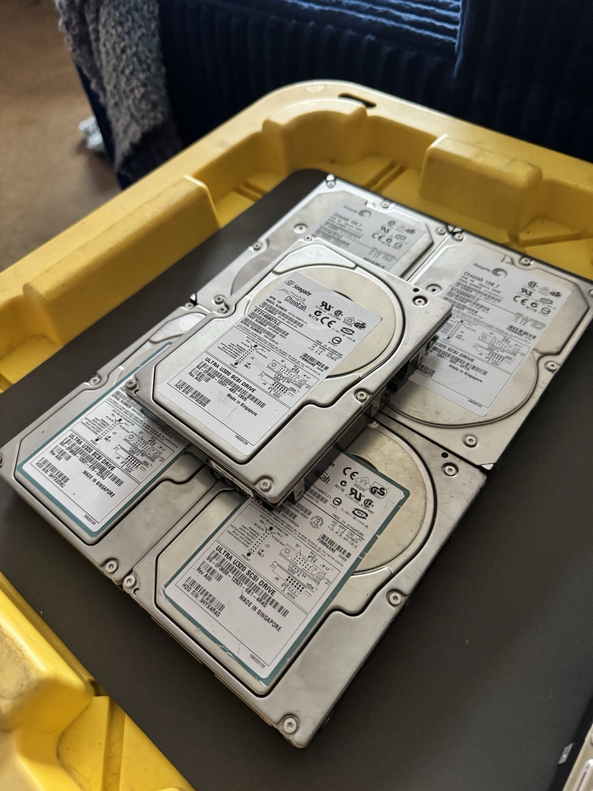 Lot of 5 Seagate Cheetah 10K.7 3.5" Ultra320 SCSI Hard Drives