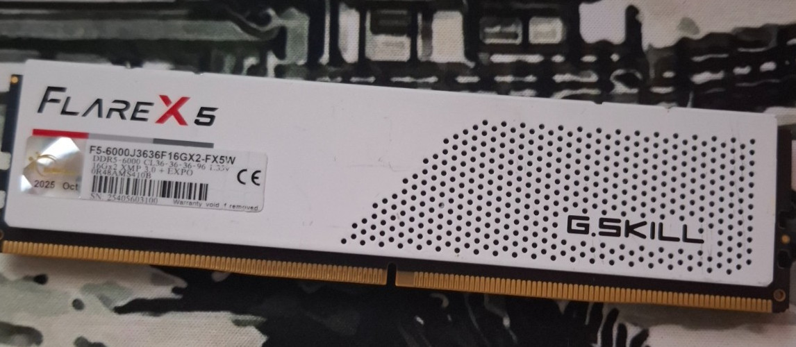 G.SKILL Flare X5 16GB (1x16GB) DDR5-6000 PC5-48000 DIMM 288-Pin XMP 3.0 (WHITE)