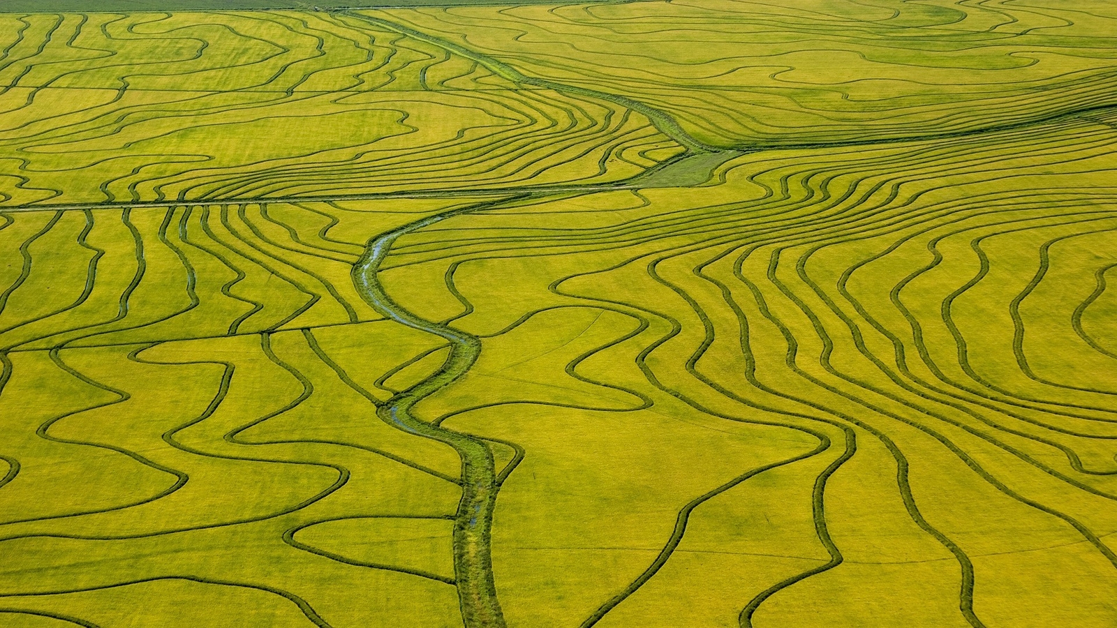 Landscape nature green field river rice fields aerial Custom Gaming Mat Desk