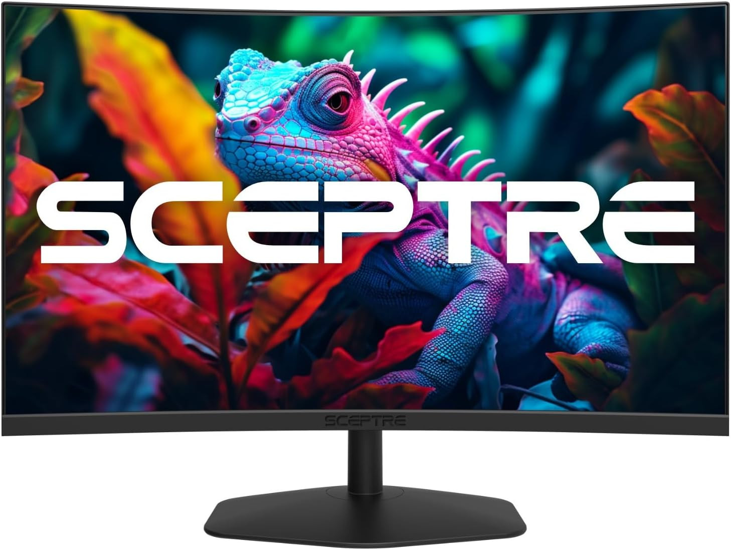 Sceptre C248W-FW100T Curved 24-inch 1500R DisplayPort HDMI X2 Eye Care Gaming
