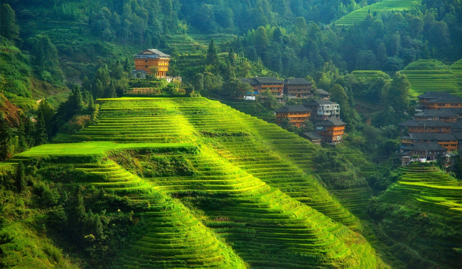 Landscape terraced field hills china agro Custom Gaming Mat Desk