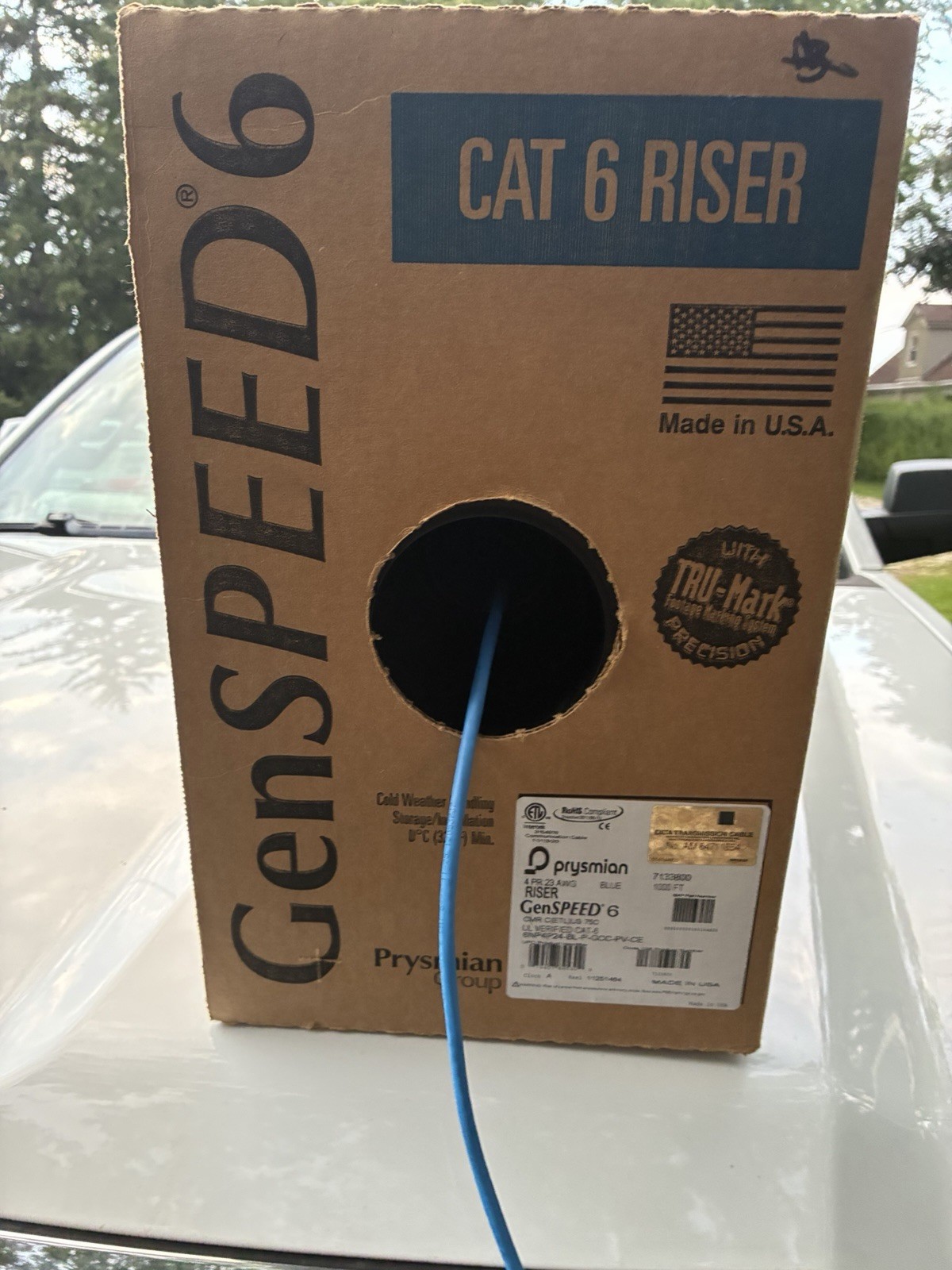 GENSPEED® 6 CATEGORY 6 RISER CABLE BLUE 0586 FEET FRYSMIAN Of 1000' PULL PAC