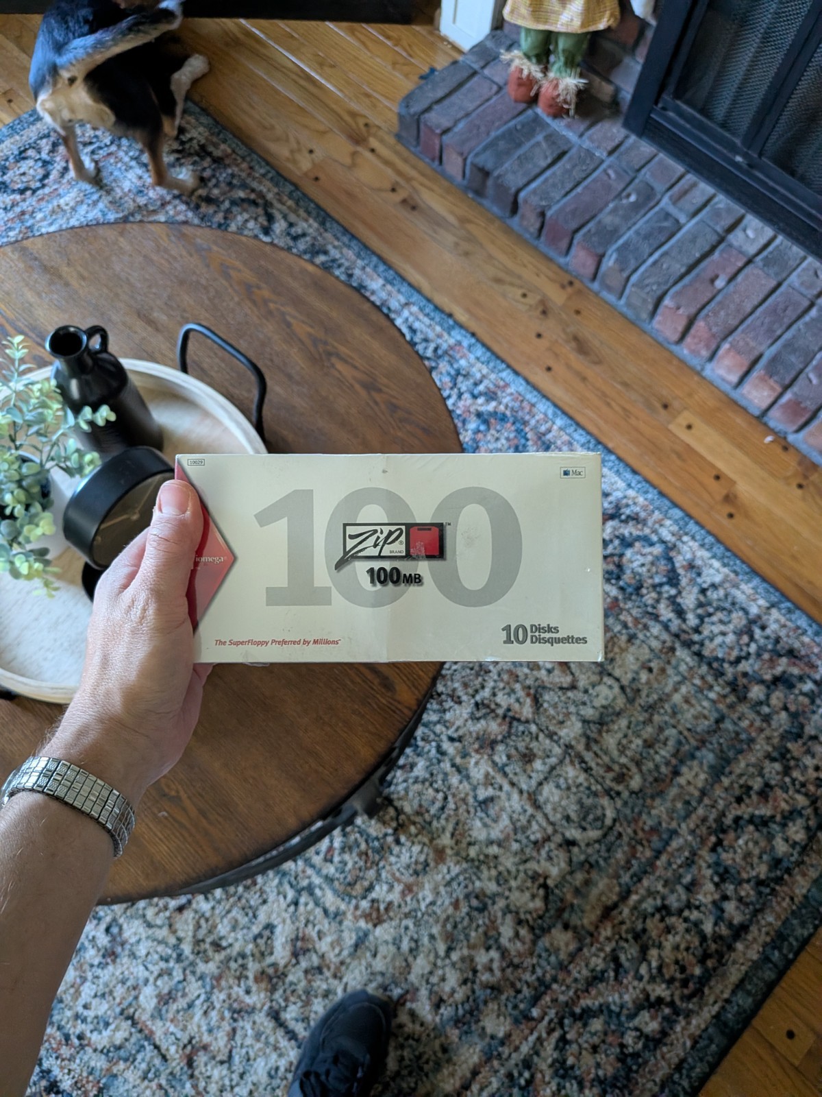 Iomega Zip Disks: 100MB, Mac Format, Super Floppy - 10 Pack (Brand New)