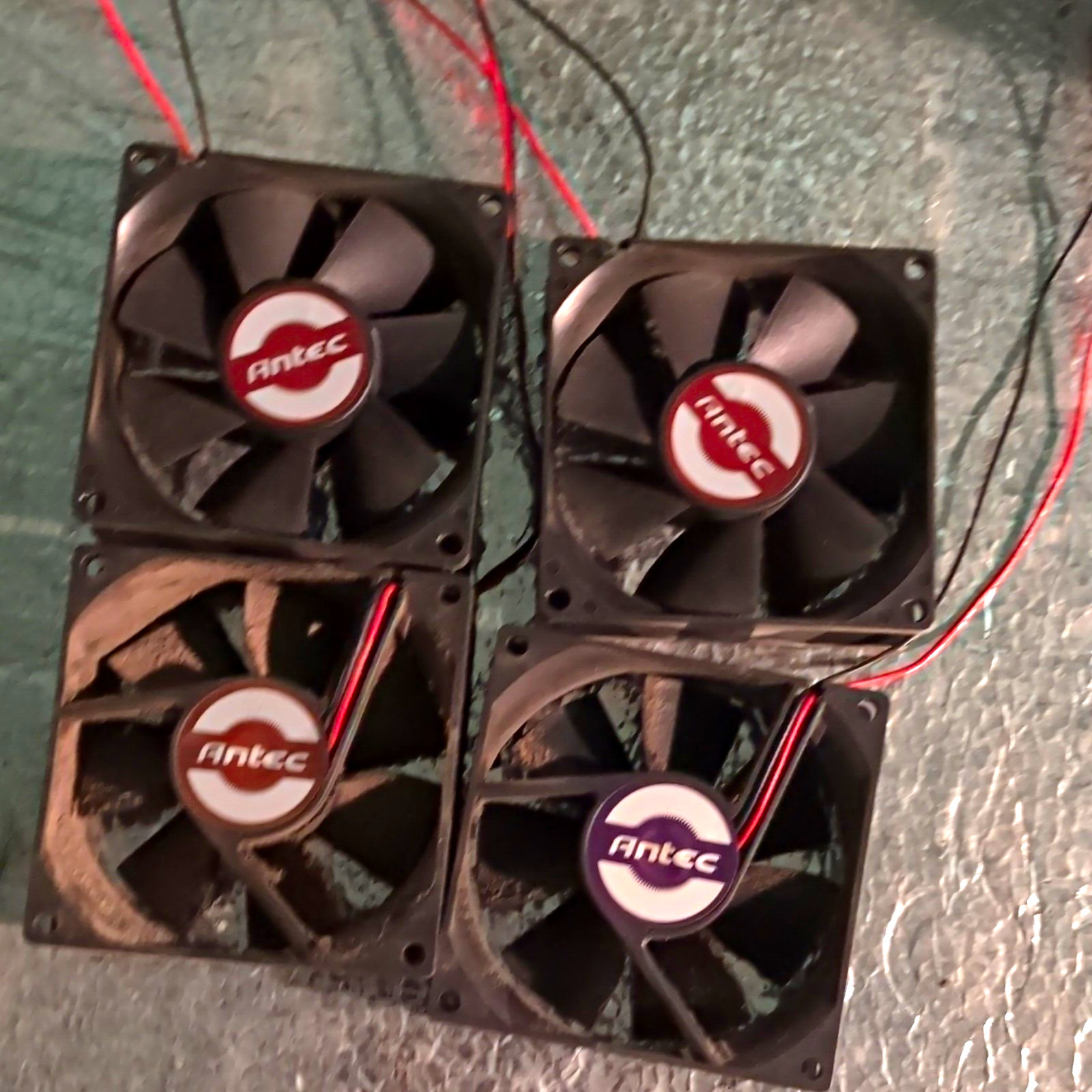 Antec TriCool Lot of 4 120mm Ball Bearing Case Fans 4-Pin Black