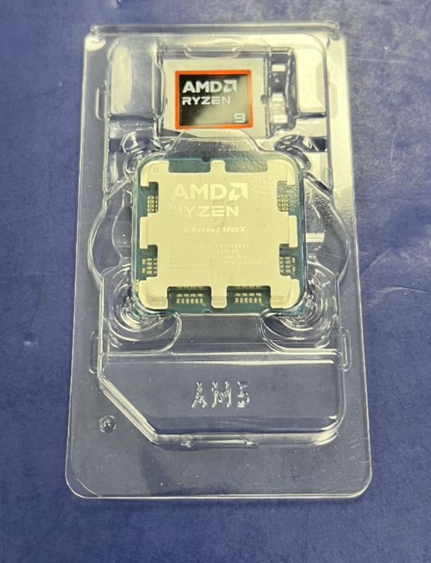 AMD Ryzen 9 9900X