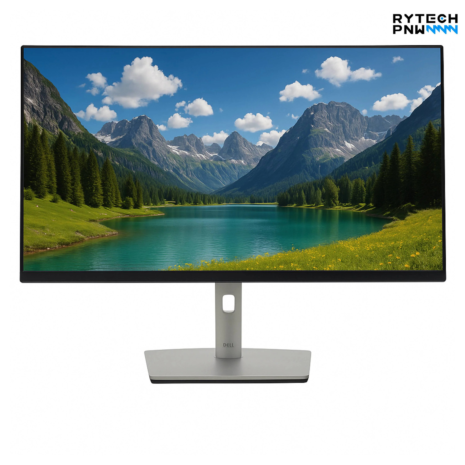 Dell Professional Monitor P2422 | 23.8 inch | 60Hz | IPS | Full HD | Grade A