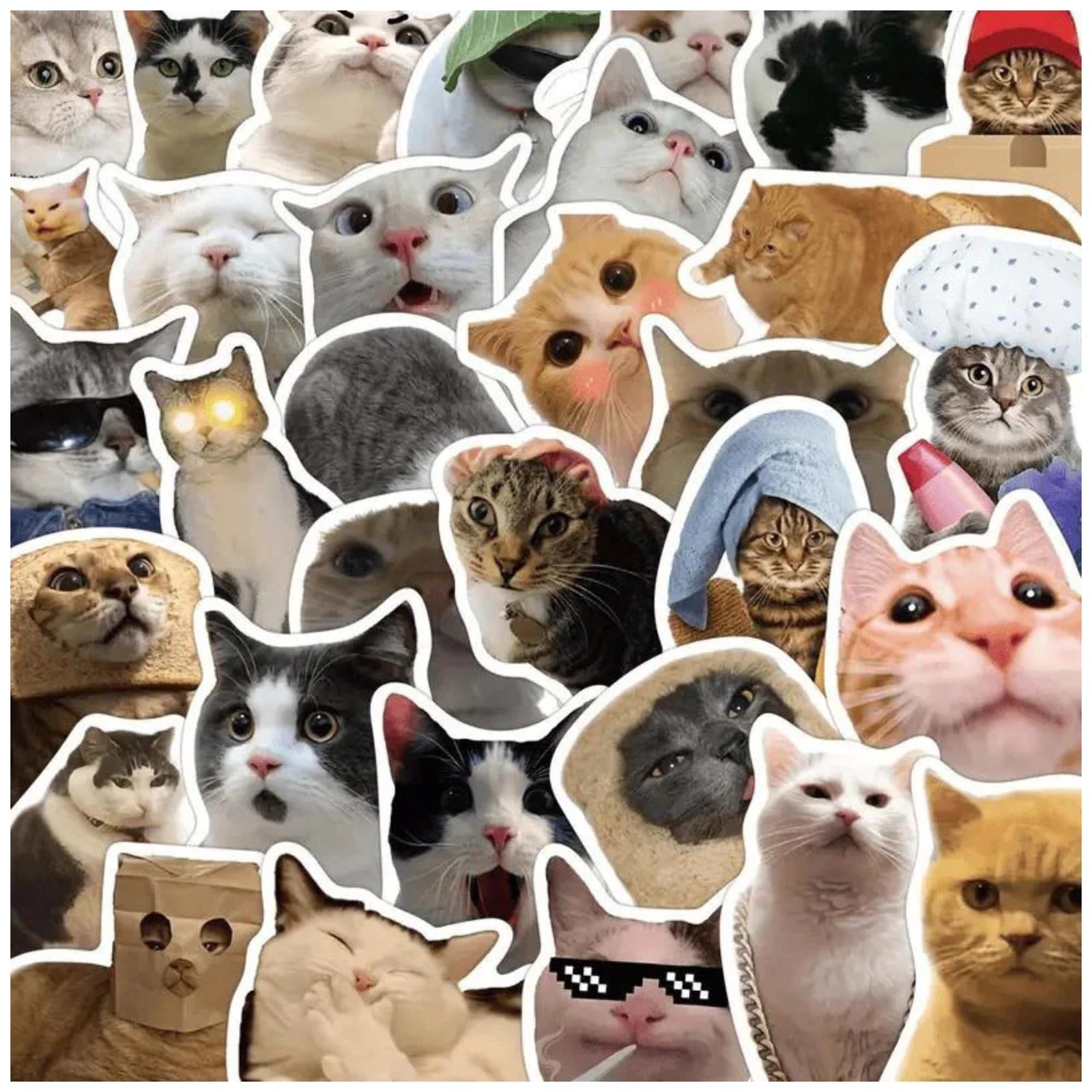 50 Pcs Cat Stickers,Funny Meme, Kawaii for Kids Adults,Waterproof 1 Pack