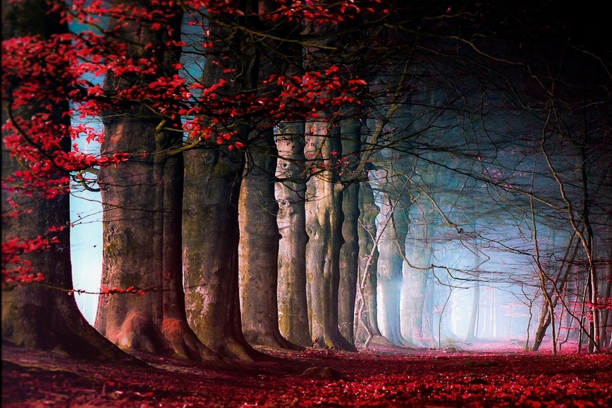 Landscape nature trees leaves mist path red blue Custom Gaming Mat Desk
