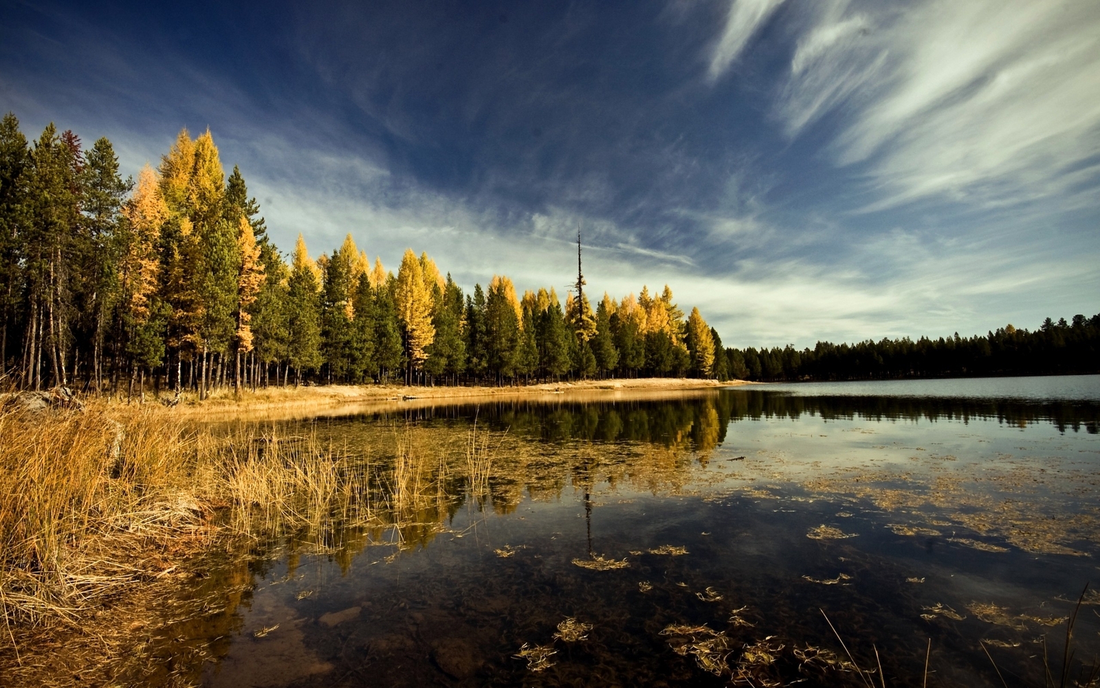 Landscape forest lake sky trees Custom Gaming Mat Desk
