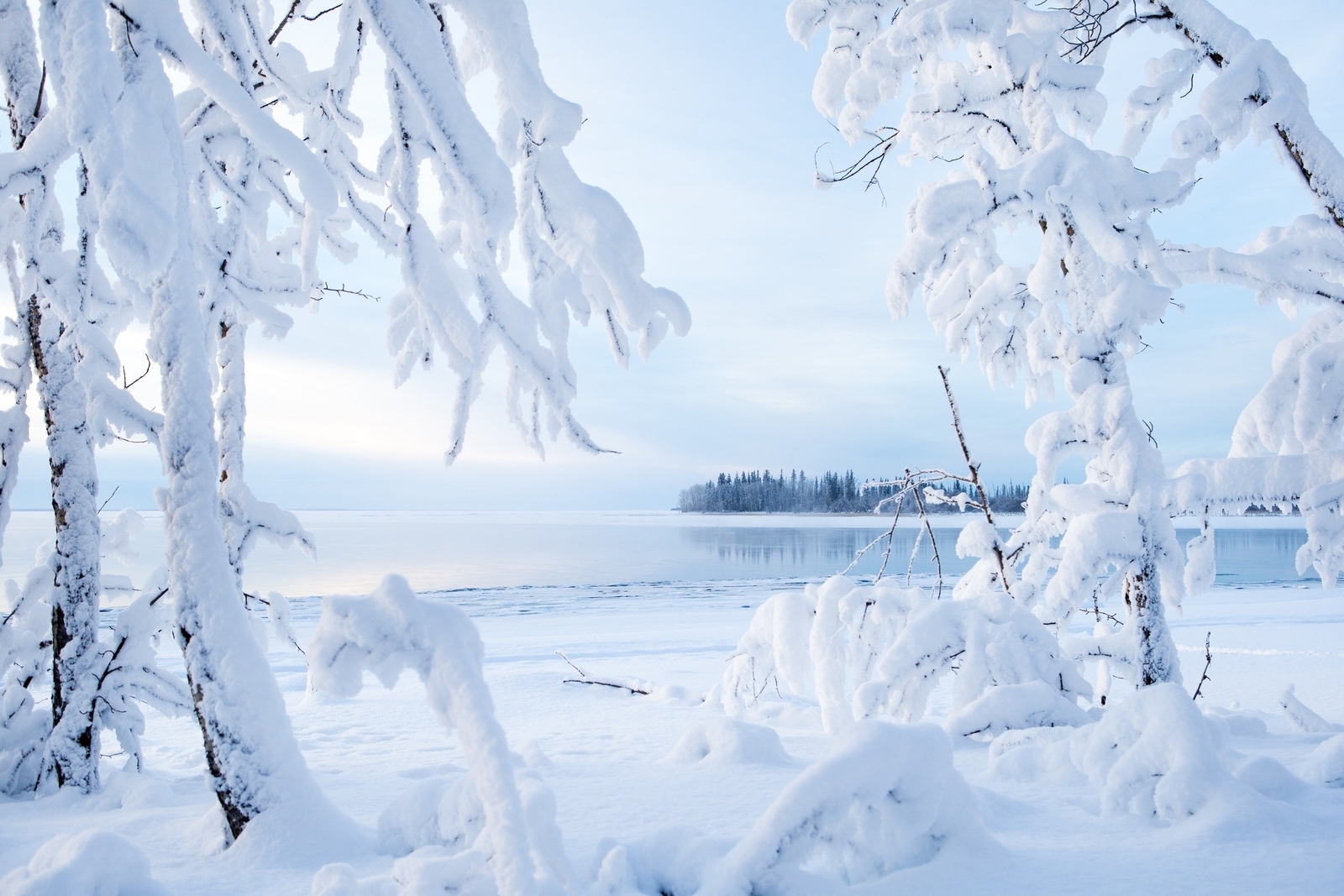 Landscape canada nature cold frost ice snow Custom Gaming Mat Desk