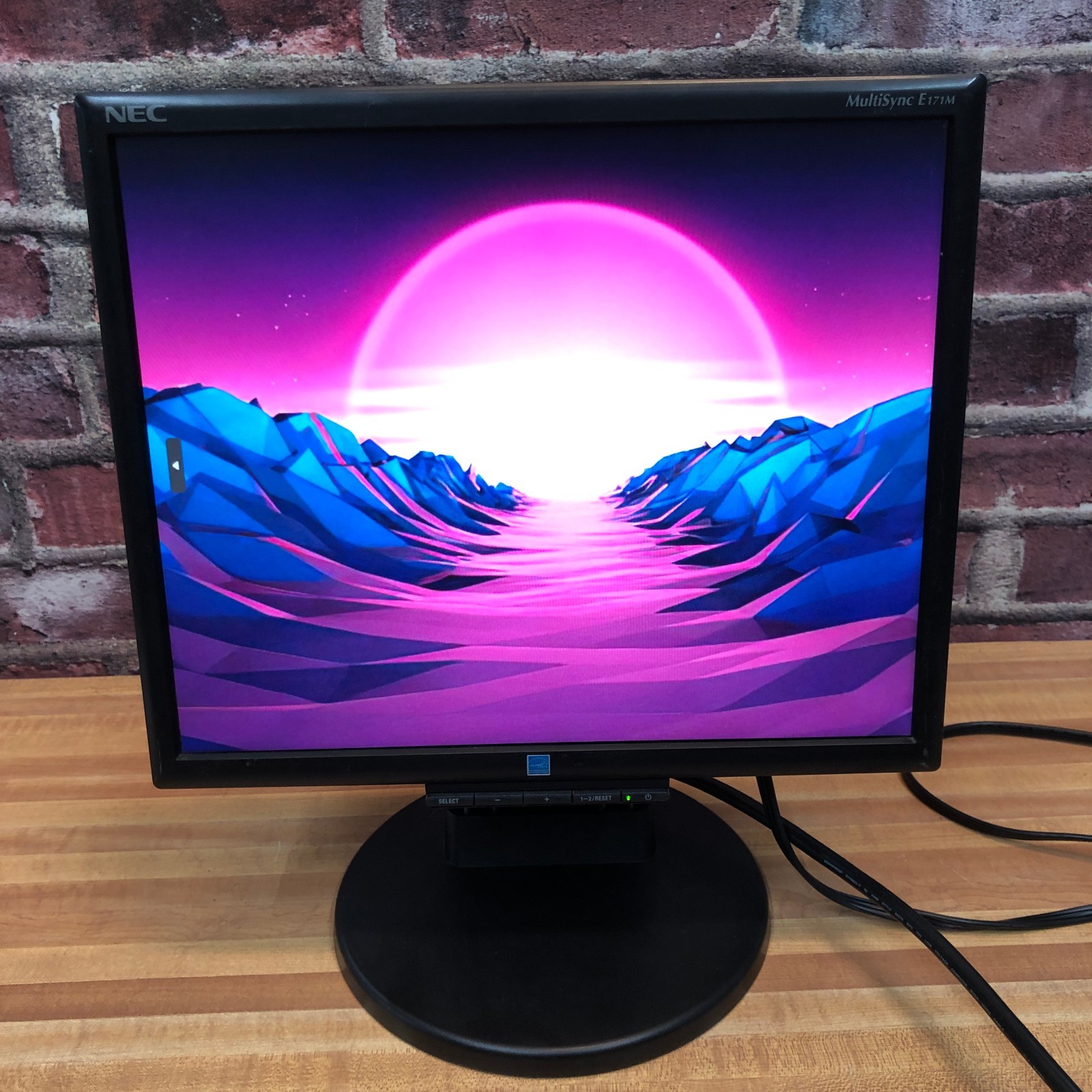 Vintage NEC MultiSync E171M 17" VGA/DVI LCD 5:4 1280x1024 Monitor Retro Gaming