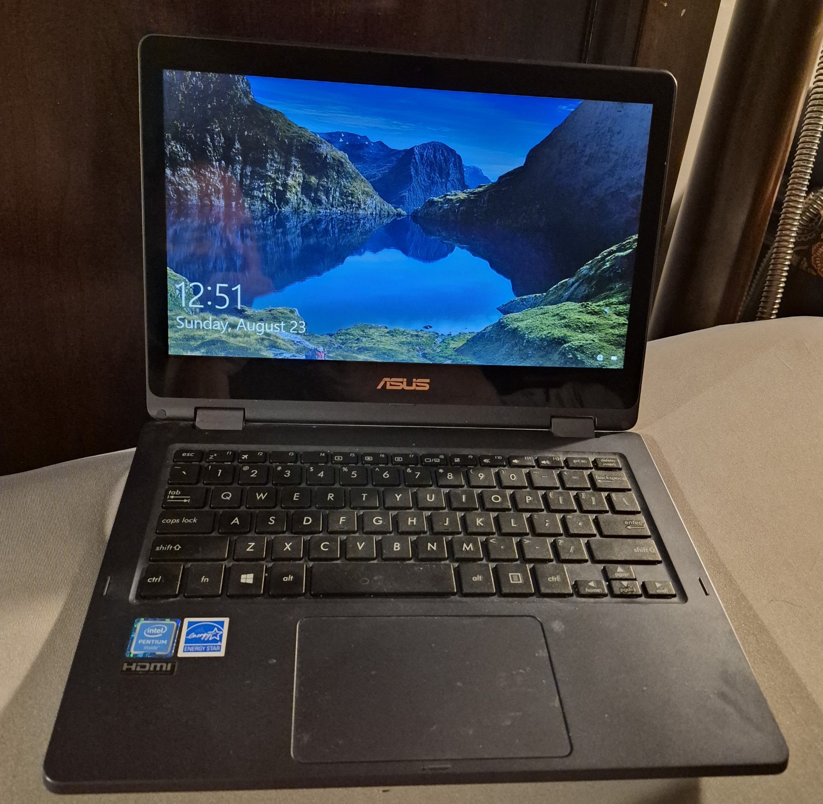 Asus VivoBook Flip 12 Model TP202N TP202NA Touchscreen Win 10 HDMI & Extras