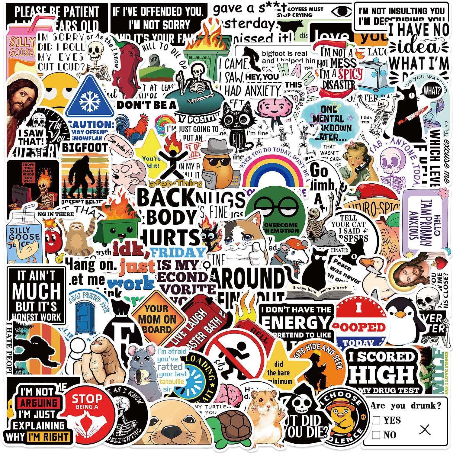 100 PCS Funny Stickers for Adults Snarky Meme Prank Meme Dirty Hilarious Sticker