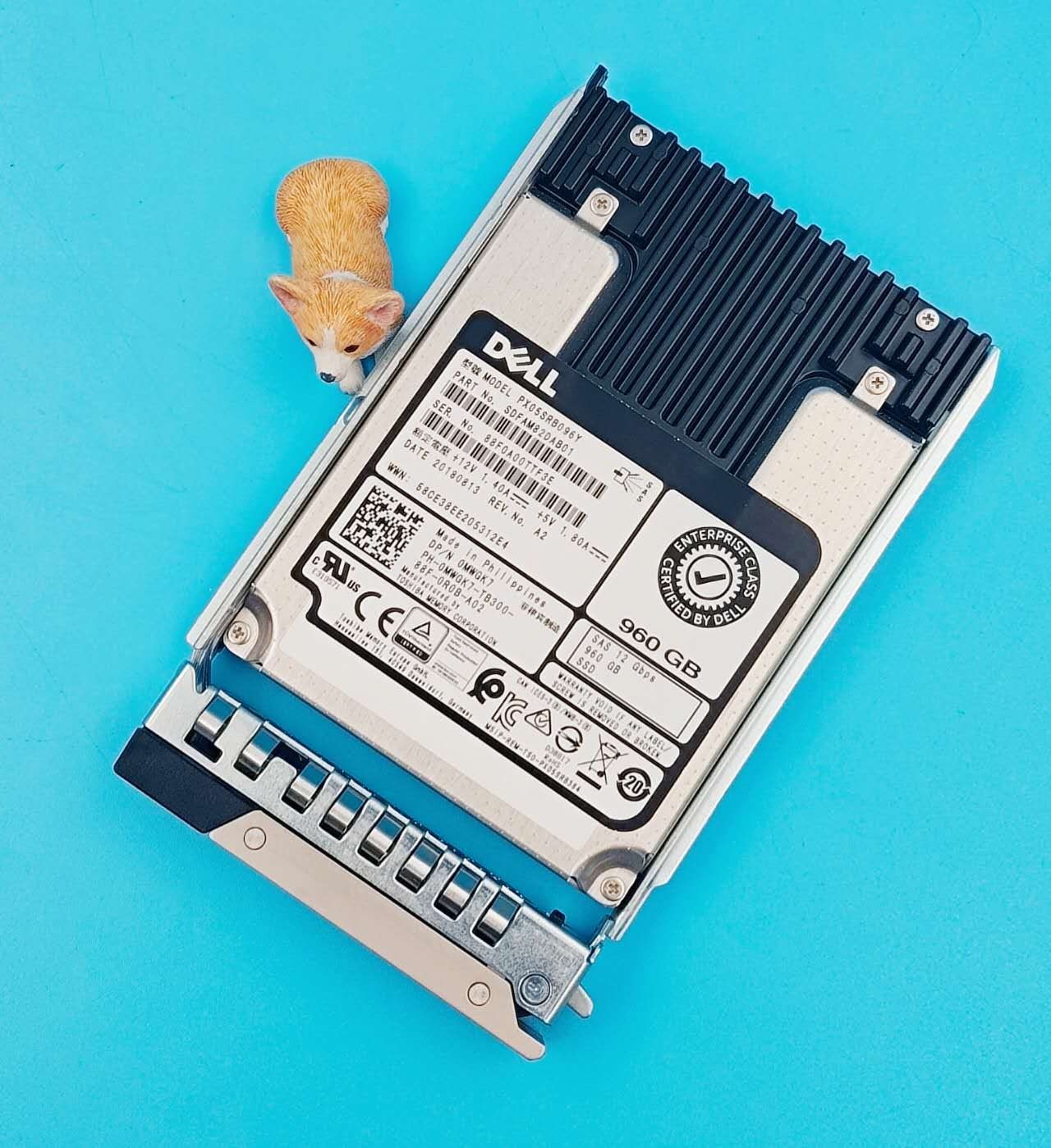 Dell 960GB 12G SAS 2.5" RI SSD MWGK7 0MWGK7 PX05SRB096Y G14 Tray Caddy