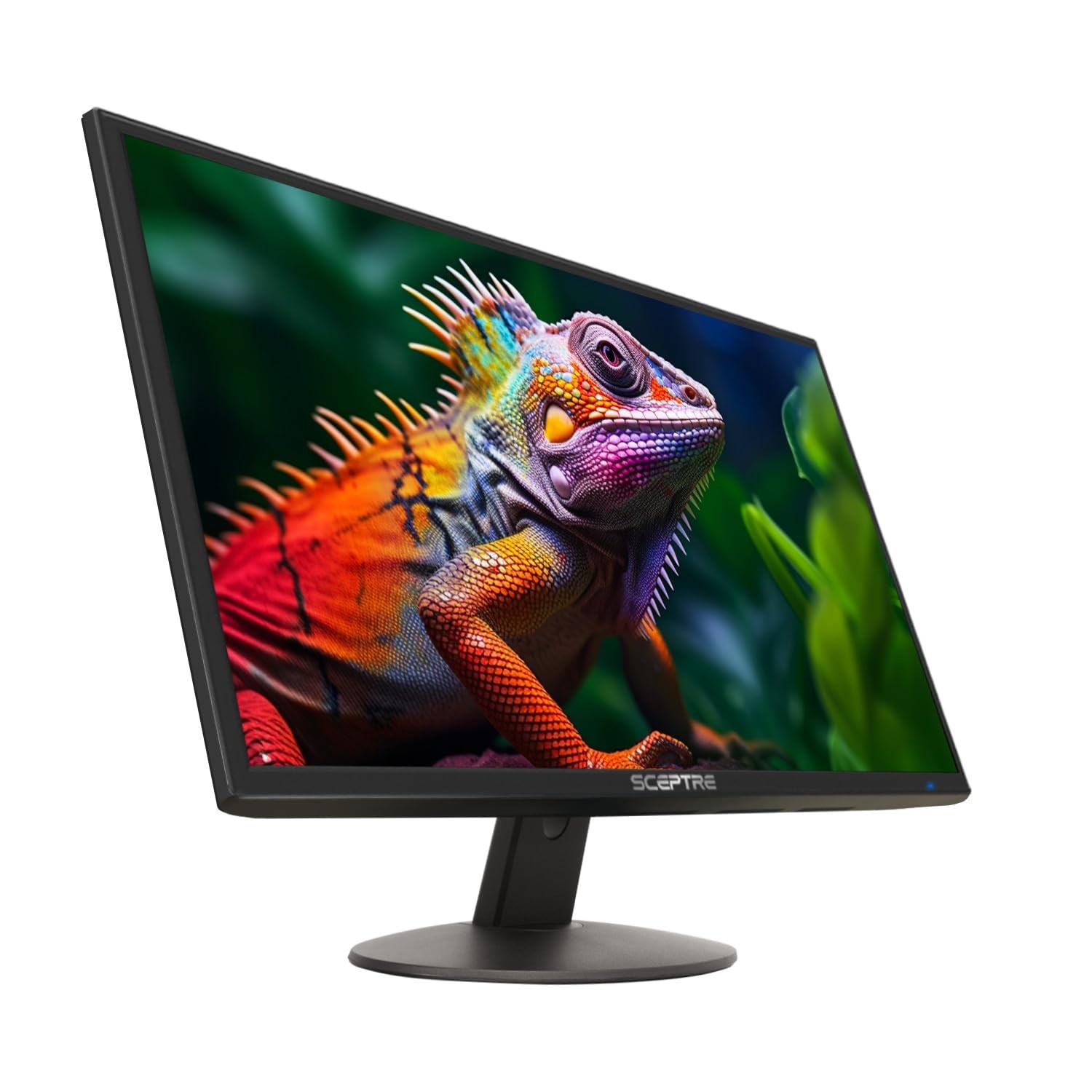 Sceptre 24 inch Prime Monitor Thin 1080p LED Monitor 99% sRGB 2X HDMI VGA Build