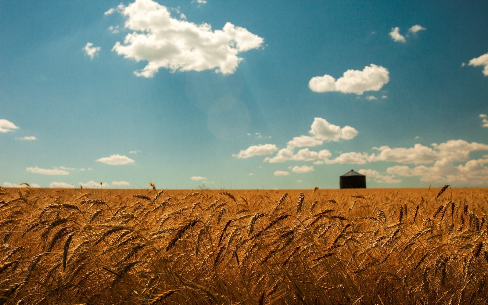 Landscape field sky summer wheat agro Custom Gaming Mat Desk