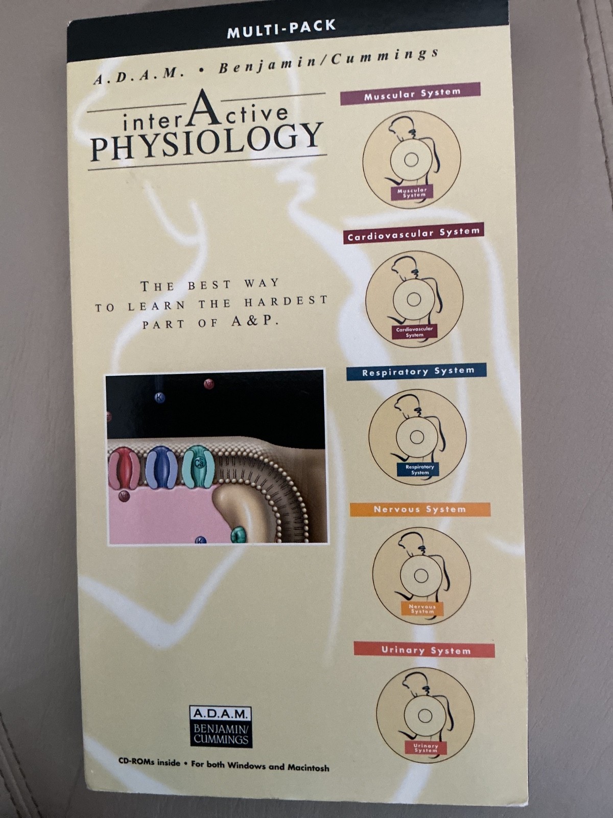 ADAM Interactive Physiology 5-Pack PC MAC CD learn muscles nervous respiratory +