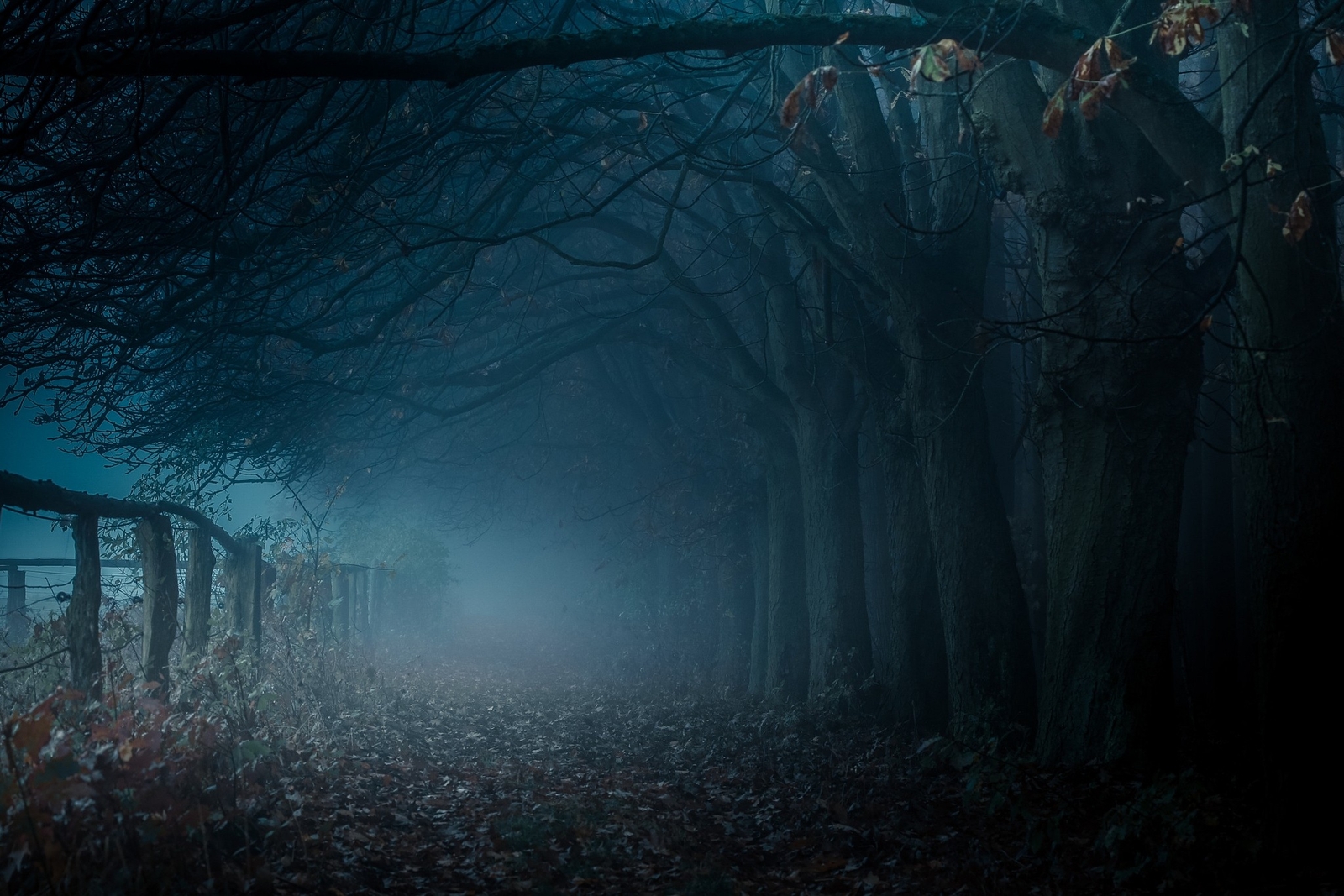 Landscape path mist trees fall fence blue nature leaves Custom Gaming Mat Desk