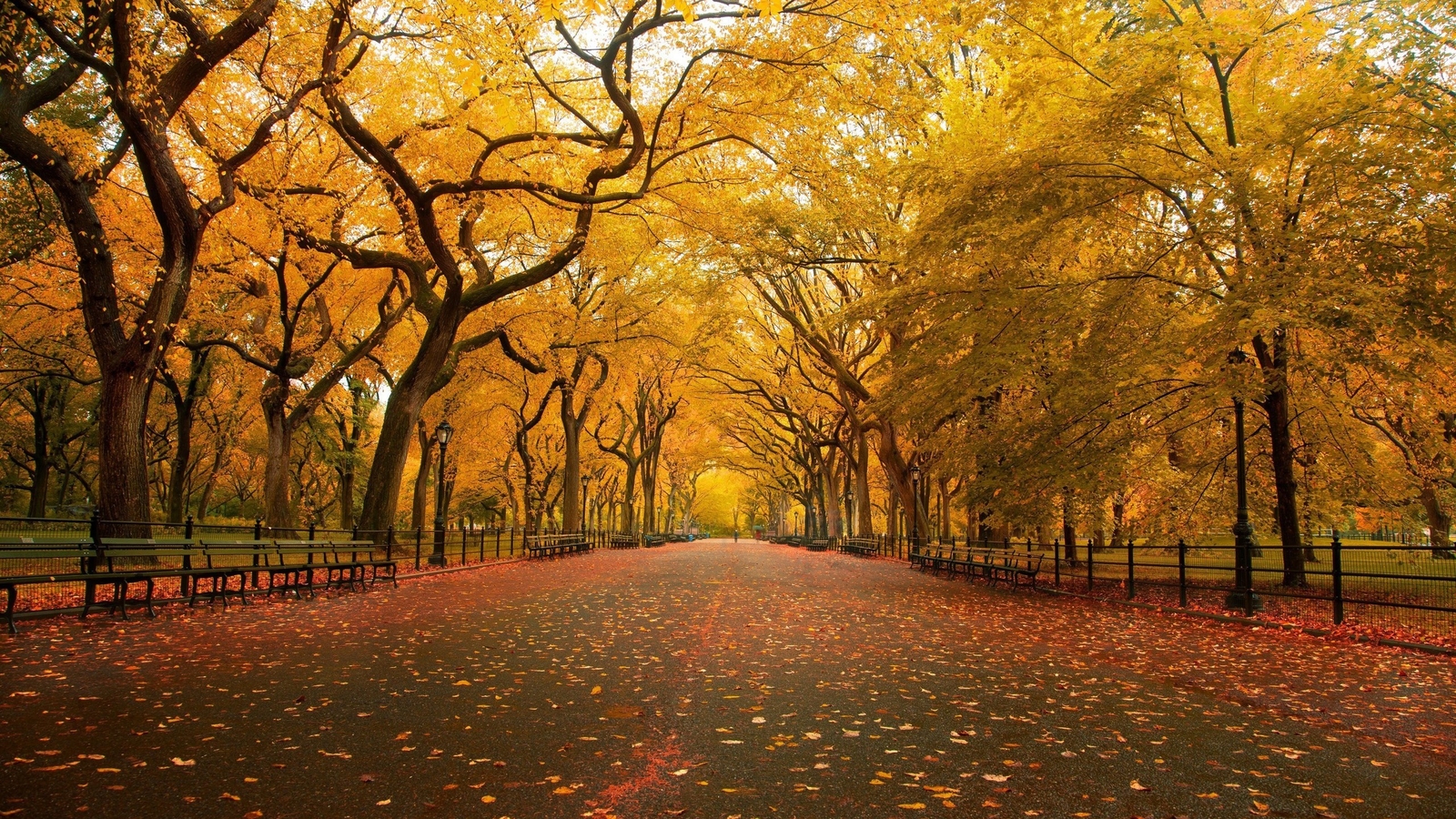 Landscape park fall trees fallen leaves outdoors Custom Gaming Mat Desk