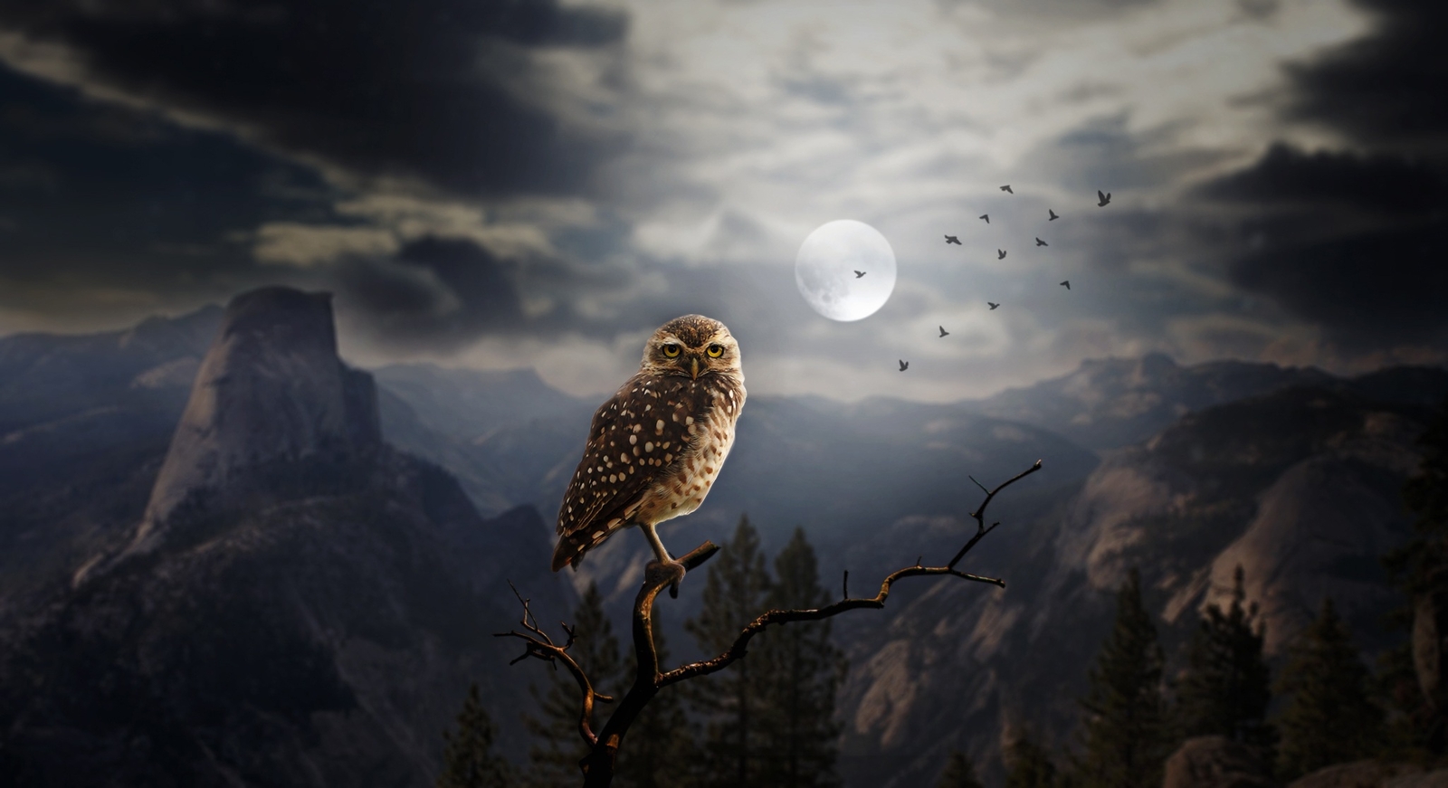 Landscape dark moon fantasy art animals birds Custom Gaming Mat Desk