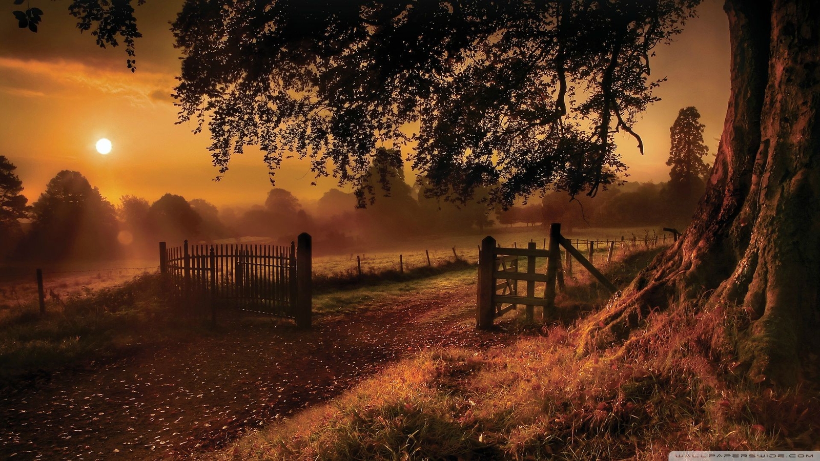 Landscape fall nature outdoors sun trees Custom Gaming Mat Desk