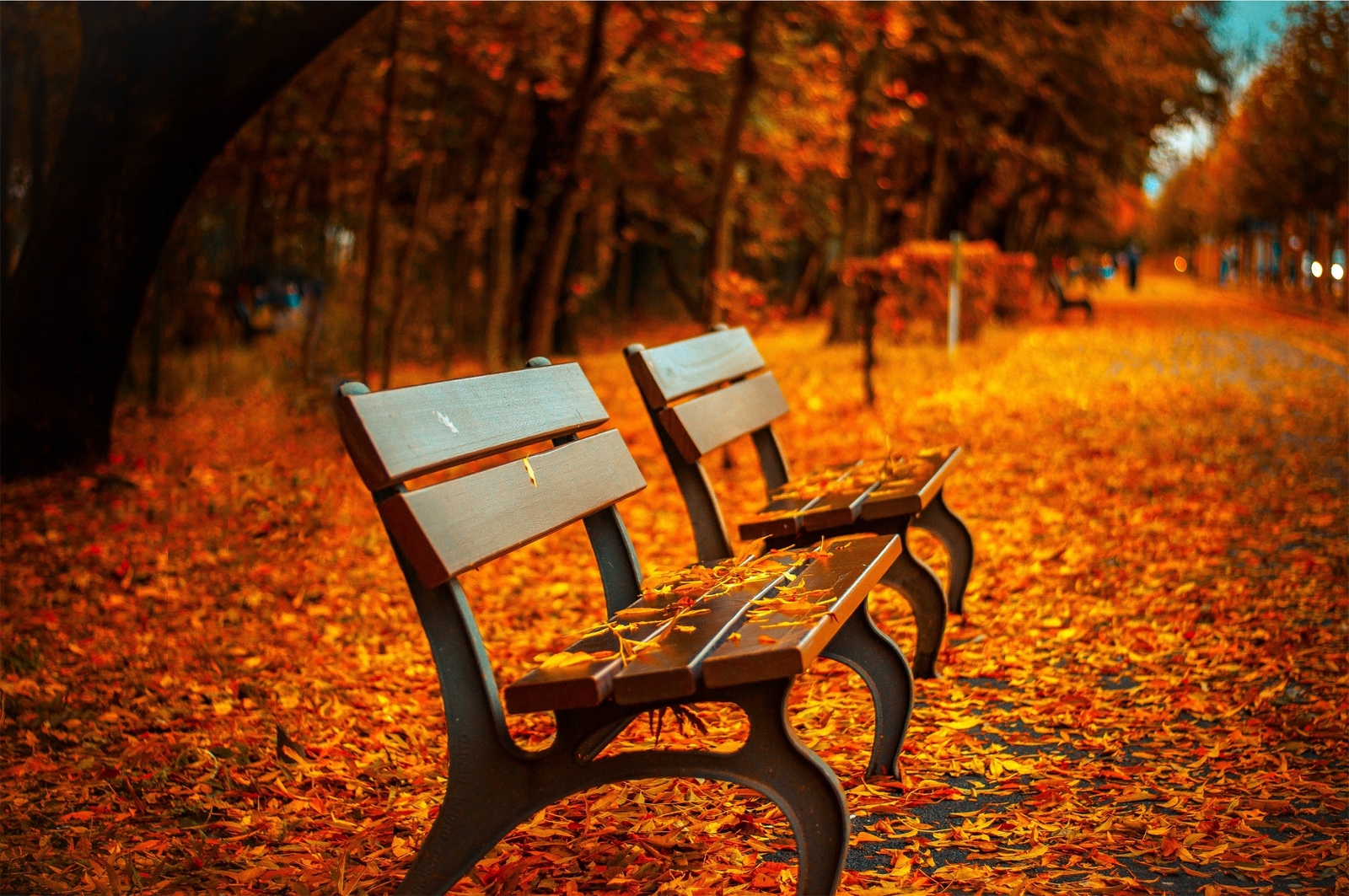 Landscape fall bench leaves depth of field trees r Custom Gaming Mat Desk