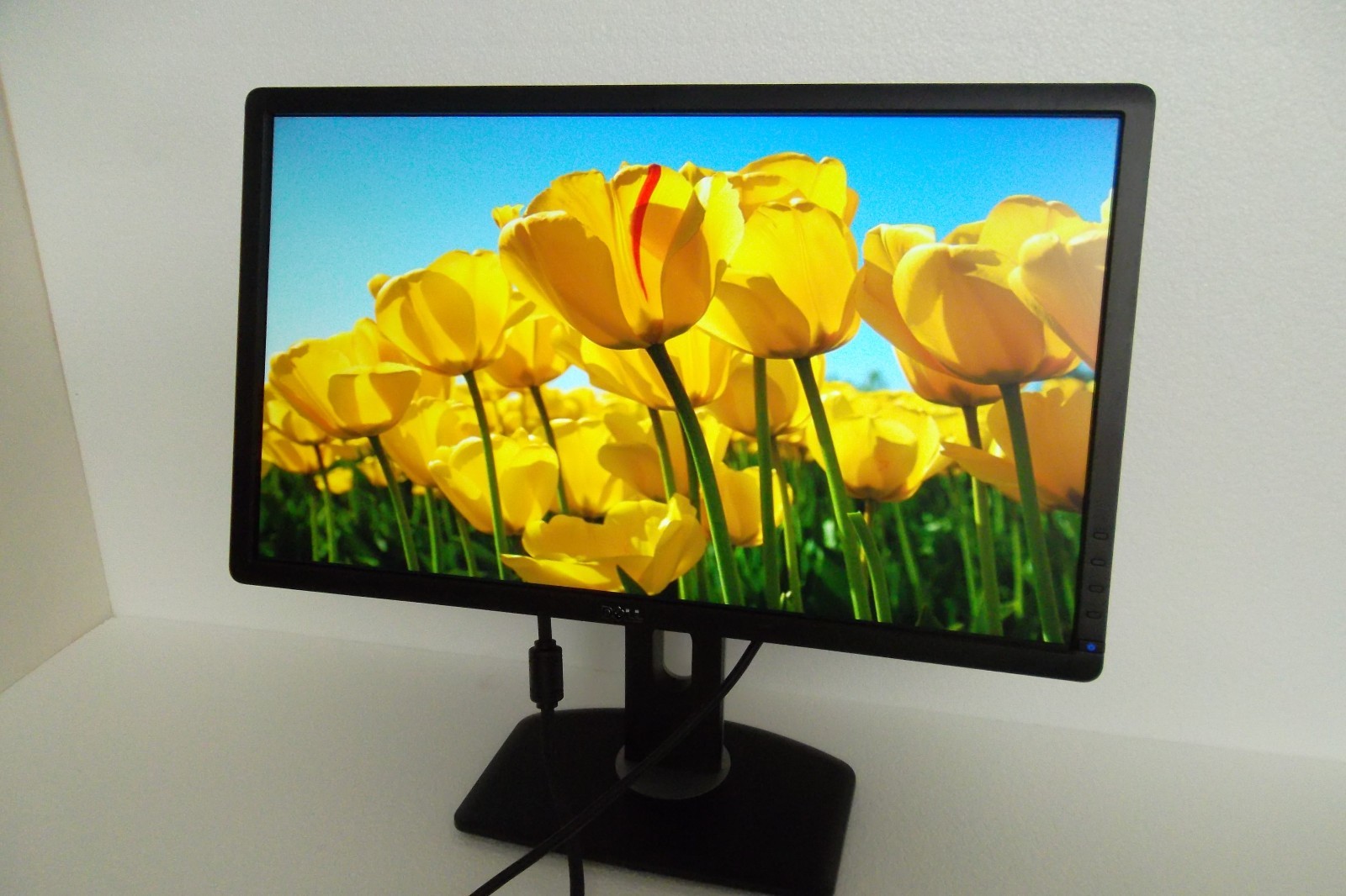 Dell P2412H Monitor 24" Full HD LED 1080p  2-Port USB Hub DVI VGA P2412Hb KG49T