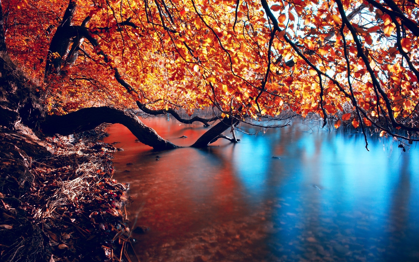 Landscape trees leaves water fall Custom Gaming Mat Desk