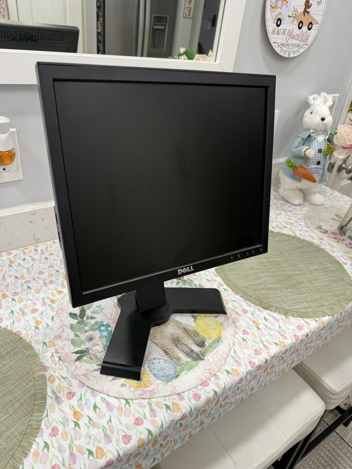 Dell P170S 17-inch Fullscreen LCD Monitor