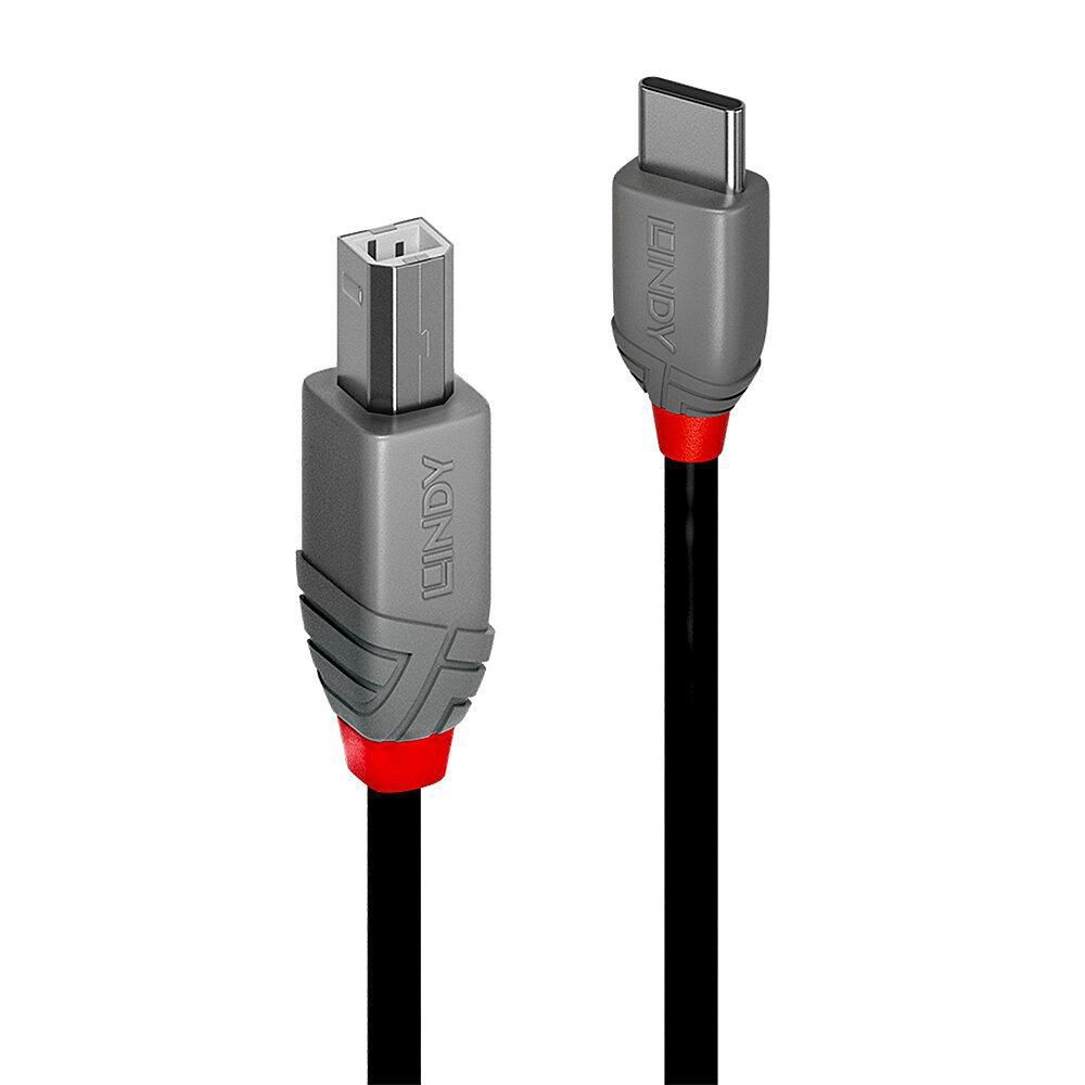 Lindy W128370479 876430 1M USB 2.0 Type C To B Cable Anthra Line ~E~