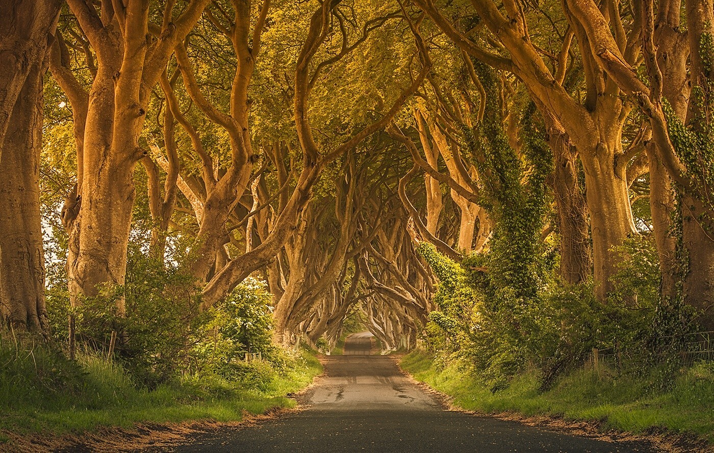 Landscape ireland trees green road grass street fence Custom Gaming Mat Desk