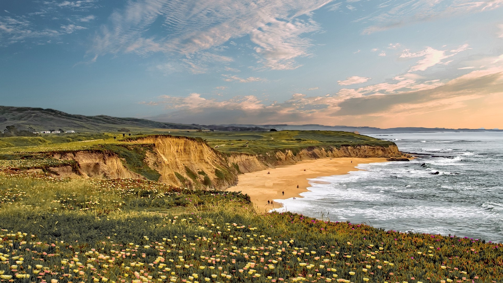 Landscape nature flowers yellow beach coast clouds sky Custom Gaming Mat Desk