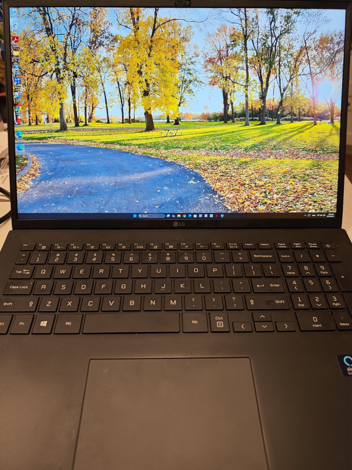 LG gram 17” (Intel Core i7-1195G7, 16GB RAM,  512GB NVMe) Notebook - Black...
