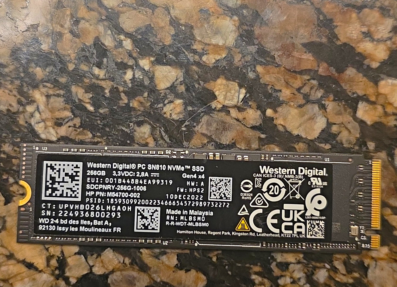 Western Digital PC SN810 256GB NVMe M.2 Internal SSD SDCPNRY-256G-1006