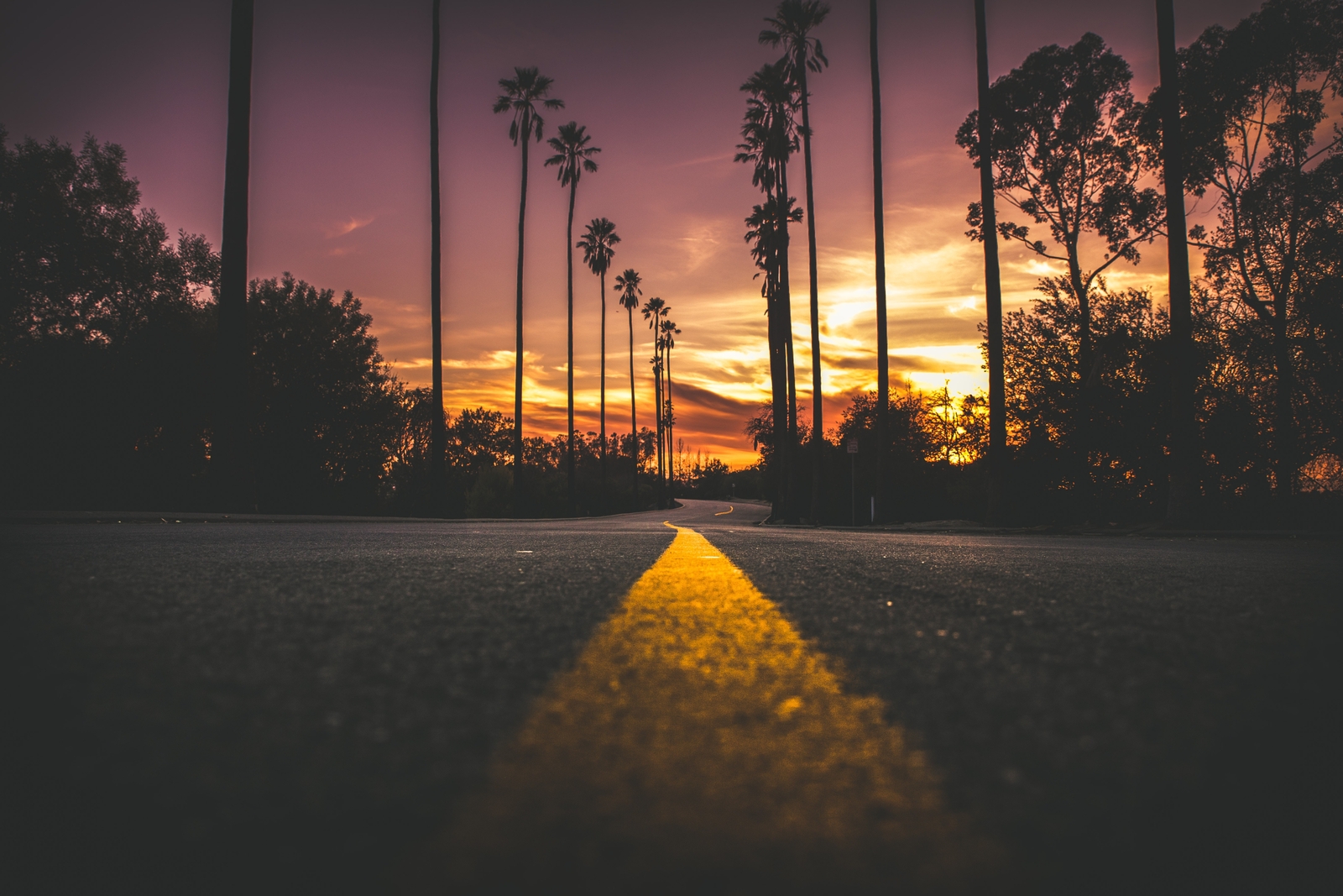 Landscape nature road sunset palm trees asphalt Custom Gaming Mat Desk