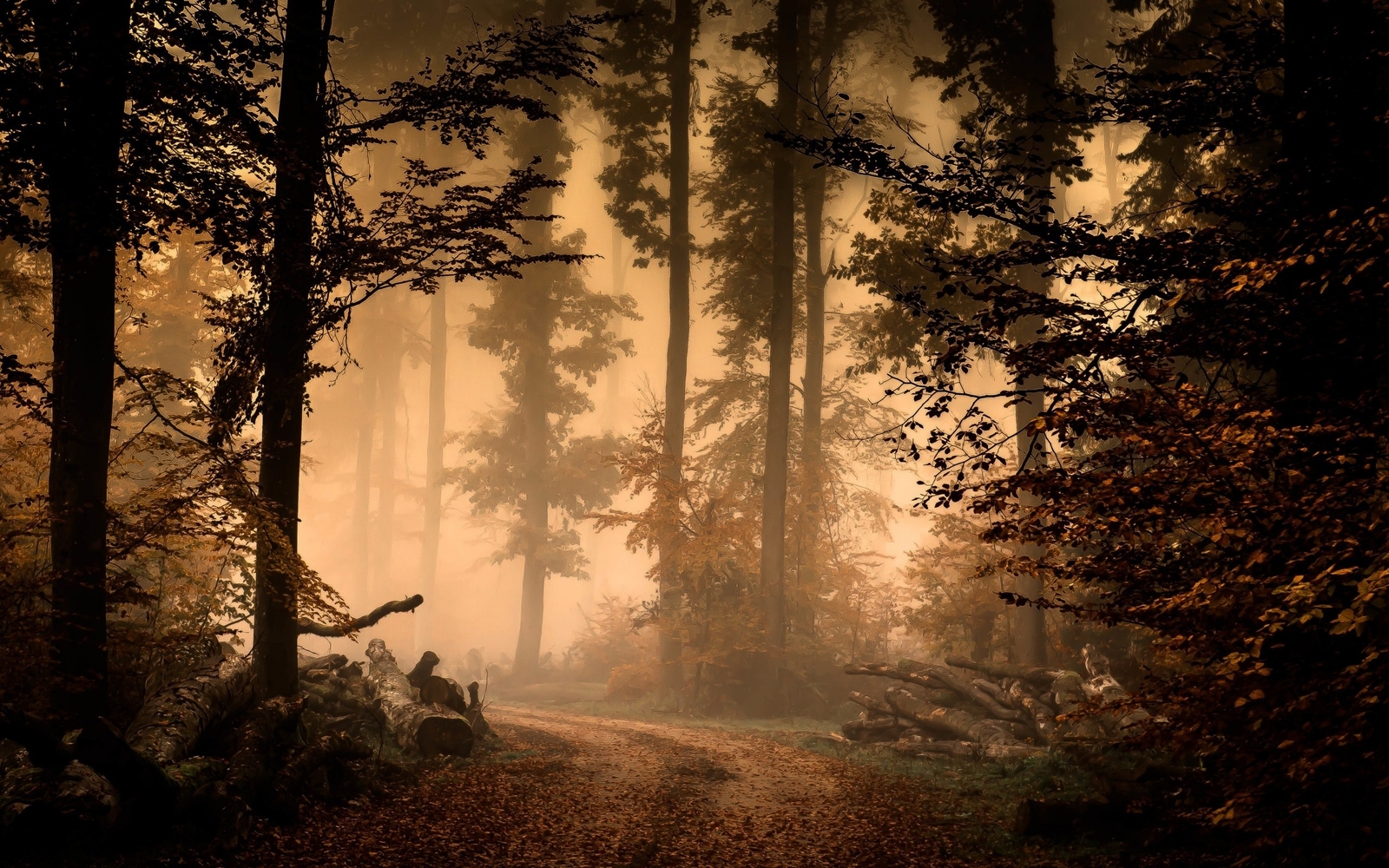Landscape forest trees path mist fall dirt road Custom Gaming Mat Desk