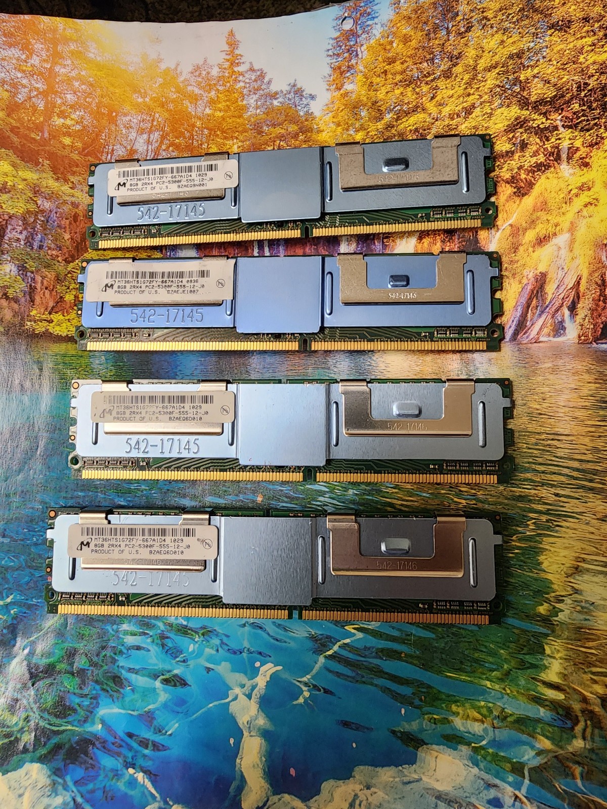 Lot of 4 Micron 8GB PC2-5300F 2Rx4 MT36HTS1G72FY-667A1D4 ECC DDR2 or HTF