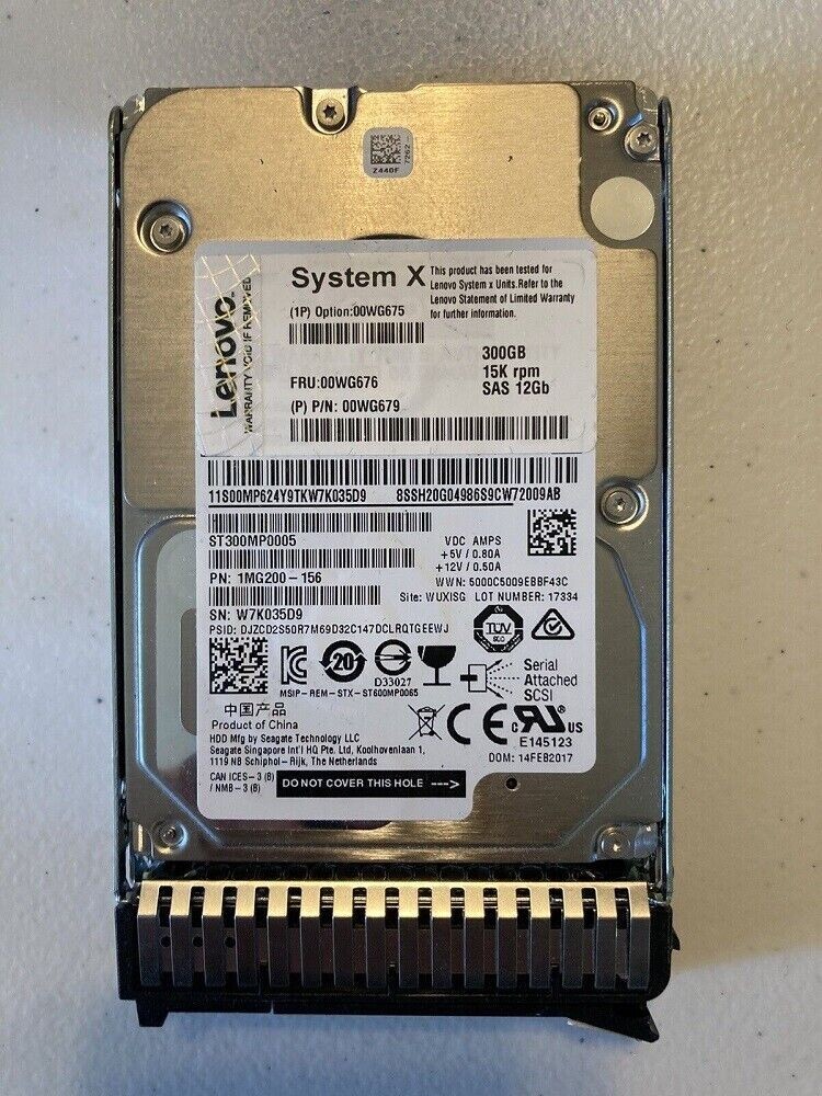 NEW Lenovo / IBM System X 00WG675 00WG676 00WG679 300GB 15K 12Gb SAS Hard Drive