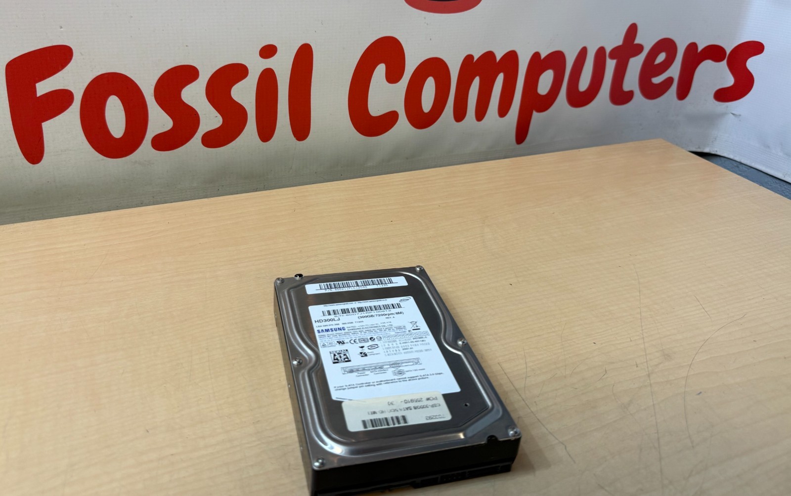 Samsung HD300LJ 300GB 7200 RPM SATA 3.0Gb/s Internal HDD Hard Drive      J18