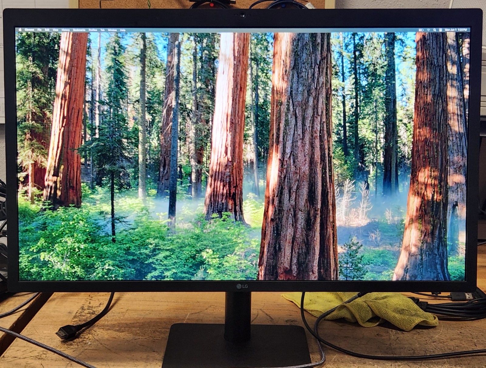LG UltraFine 27MD5KL-B 27" 5K IPS LCD Monitor Thunderbolt 3 *READ DESC BELOW*