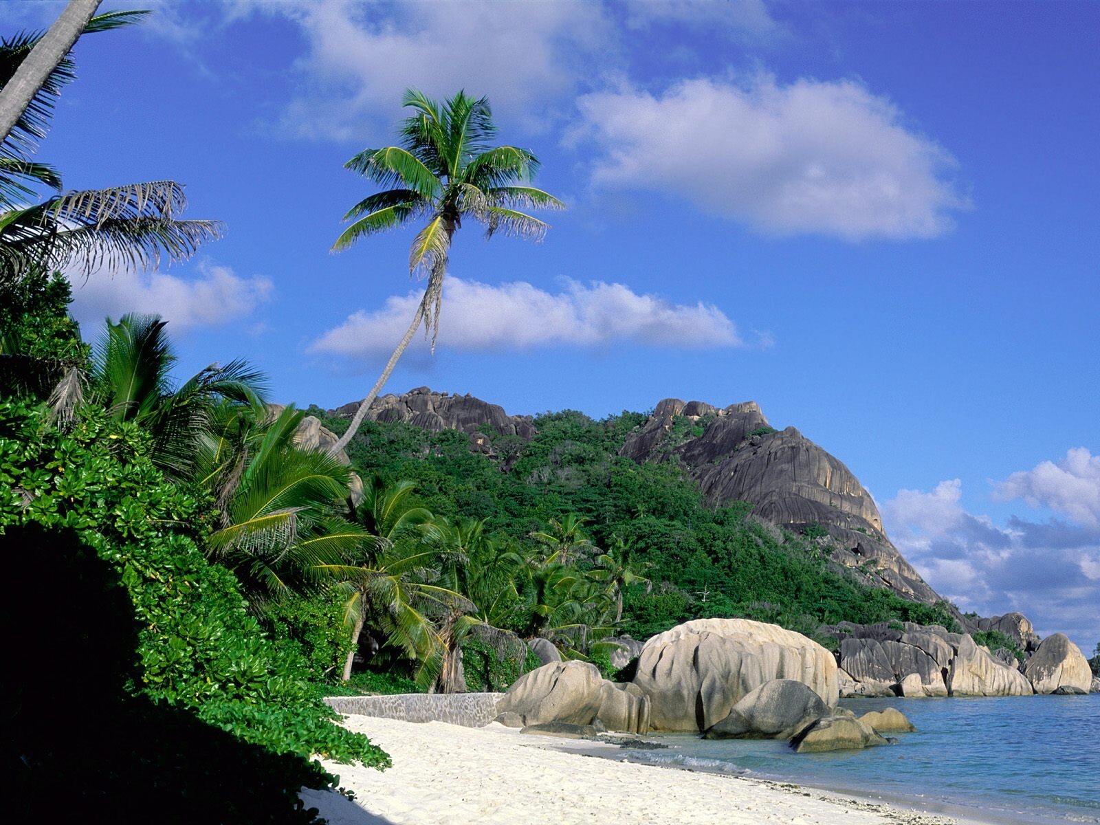 Landscape island tropical palm trees beach Custom Gaming Mat Desk